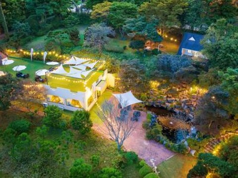 Tree Fragrance Pension