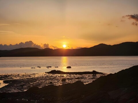 서산 파인씨펜션