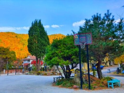Travel Forest Baekam Mountain Pension