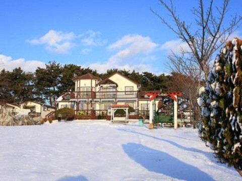 heydog Ttrak Pension