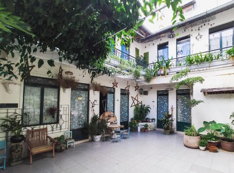 달랏 사 레몬그라스