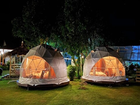 라이언 카페 리조트