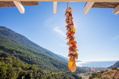 Oludeniz Manzara - Non-Alcoholic Family Hotel