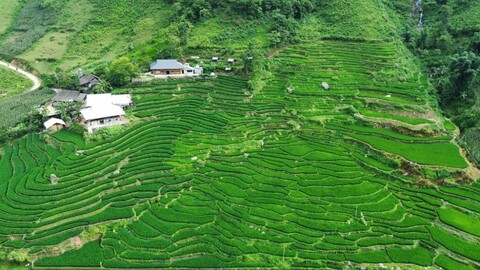비즈 홈스테이 사파 앤 트레킹