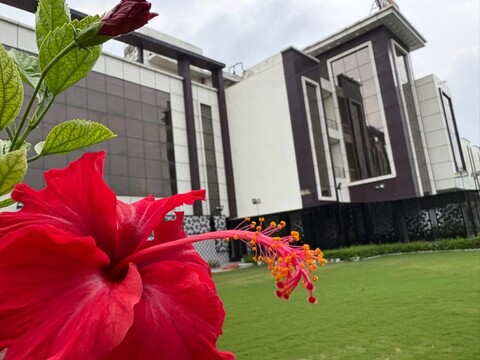 Hotel Opal Courtyard