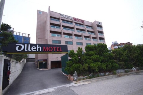 울산 일산 올레