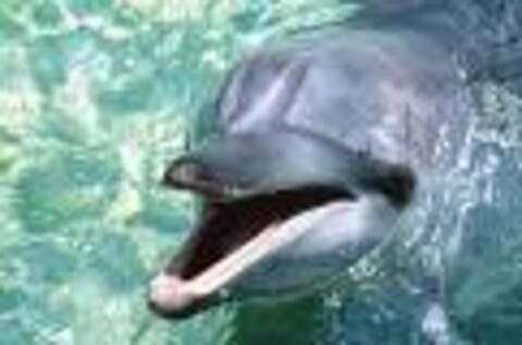 Grand First Inn Sasebo