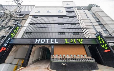 인천 석남동 보리밭