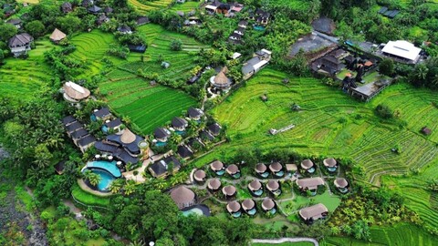 더 와파 럭스 텐트