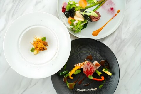 Corredor Yugawara  Dog＆Resort