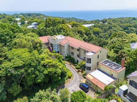 완완 파라다이스 프리미어 이즈코겐