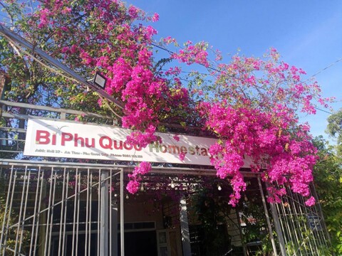 홈스테이 골프 앤 커피 - 비 푸꾸옥