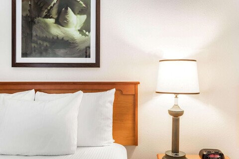 베이몬트 바이 윈덤 올랜도 사우스