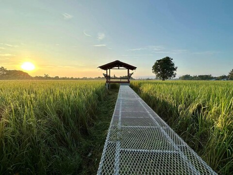 파누마스 리조트