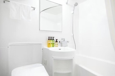 HOTEL MYSTAYS Kumamoto Riverside