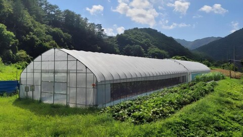 울진 왕피천힐링팜