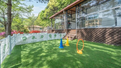 가평 댕댕이 애견 펜션 실버