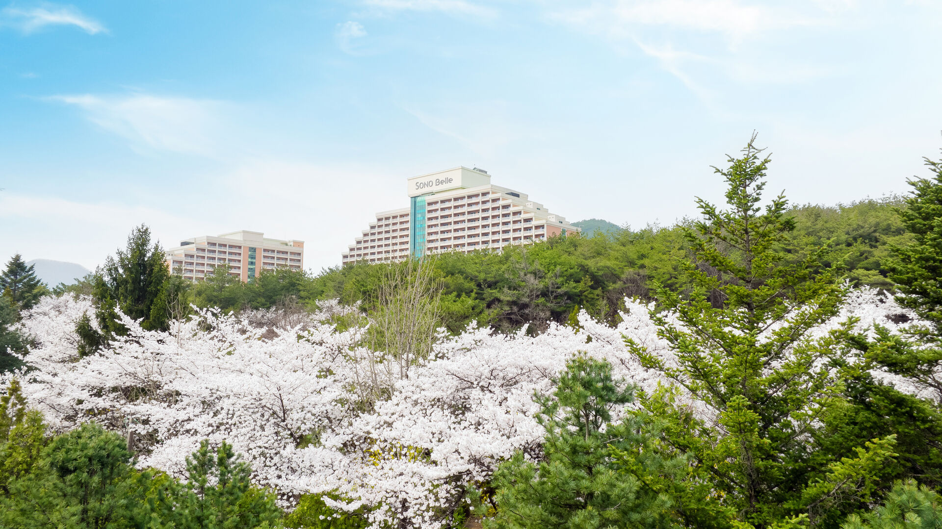 소노벨 단양 West 외관