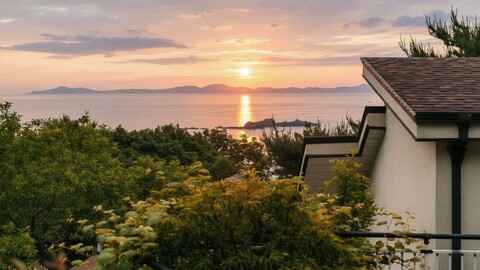 강화도 라웁애견동반펜션