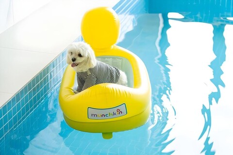 멍스클럽애견풀빌라