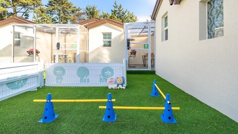 제주 댕댕이 애견 펜션 블랙