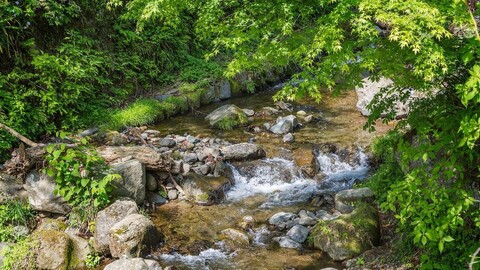 가평 첫눈애펜션 (전 객실 리모델링 완료)