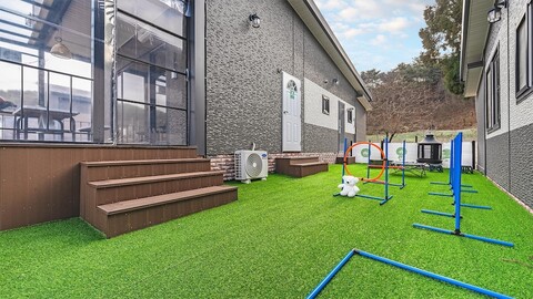 안면도 타운1967 애견 풀빌라