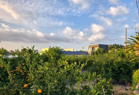 서귀포 카사 오제