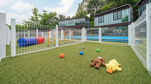 가평 산타마리아애견동반독채펜션