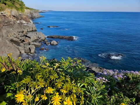 서귀포 뜨레펜션 