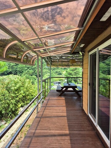 단양 해바라기 민박