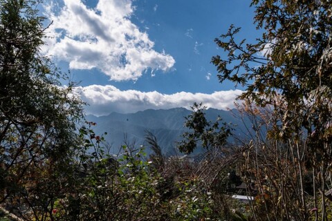 더 몽 가든 홈스테이 사파