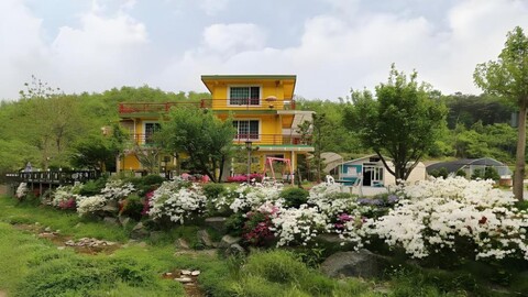 허브 스토리 펜션