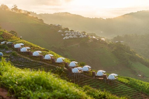 더 뷰 홈스테이 몬잠