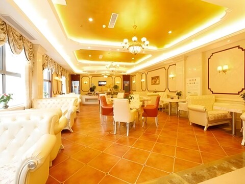 비엔나 호텔 장쑤 난징 바이자후 진잉