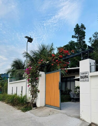 홈스테이 할로나