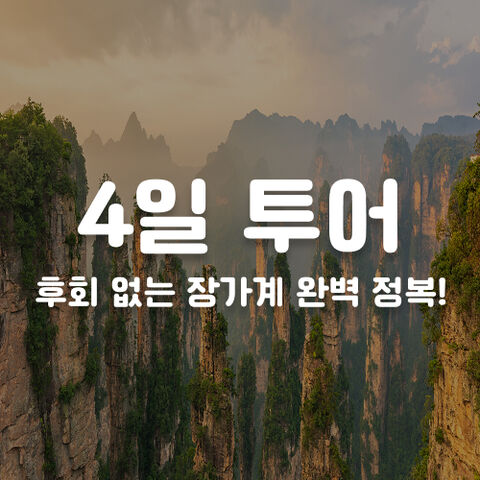 4일 투어