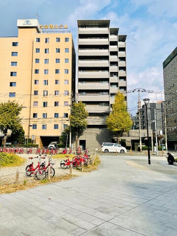 알파베드 하카타 컴포트