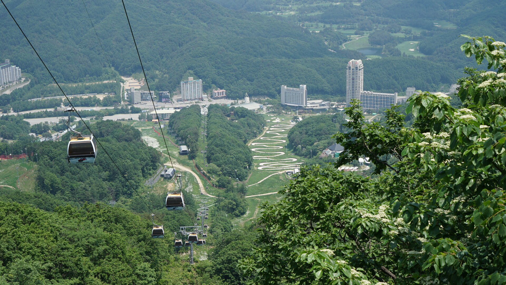 휘닉스 평창 리조트 사진