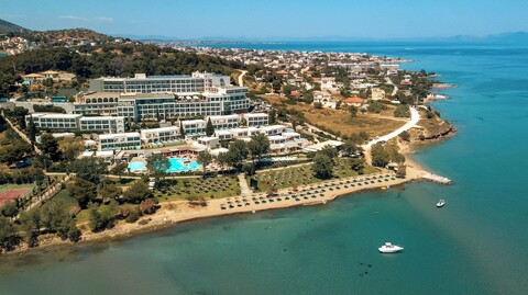 제우스 돌체 아테네