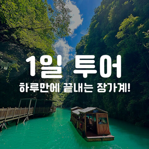 1일 투어