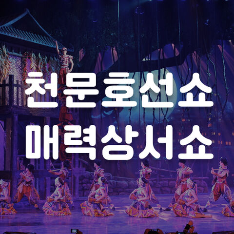 공연&쇼
