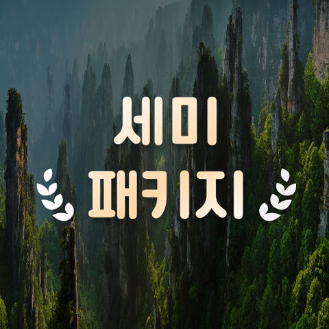 세미 패키지