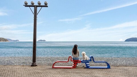 거제 블루베리 애견동반 펜션