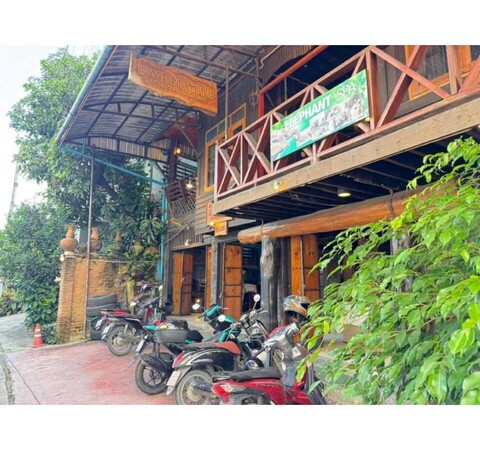 컬렉션 O 반 엘리펀트 홈