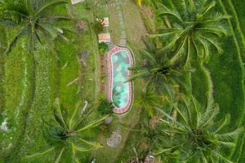 페소나 발리 에콜로지 바이 아가타