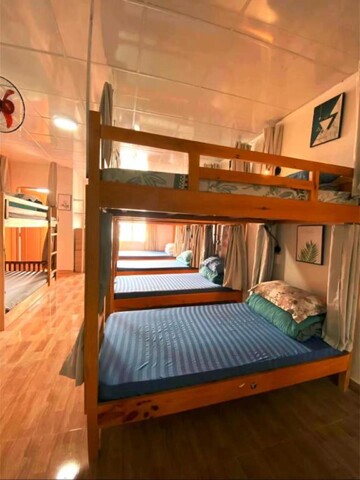 달랏 피스 백패커스 호스텔