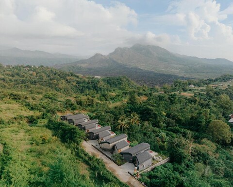 파쿠본 킨타마니