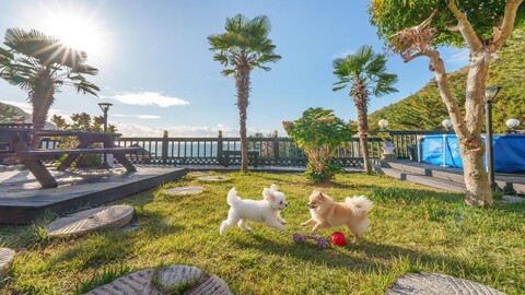 거제 여울 애견 펜션