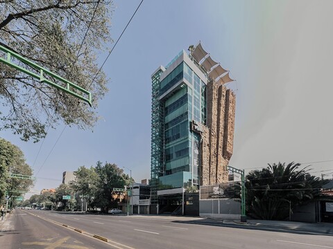 미드나잇 블룸 스위트